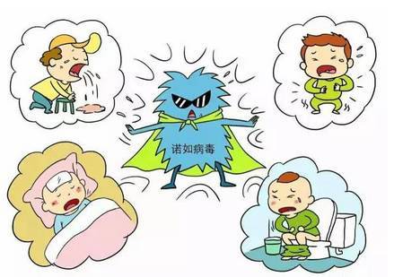 1515120328299815.jpg a454og0778868584542.jpg