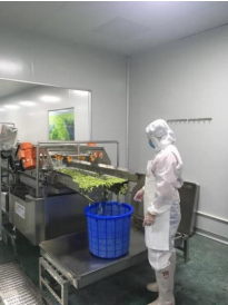 中央廚房.png 中央廚房.png